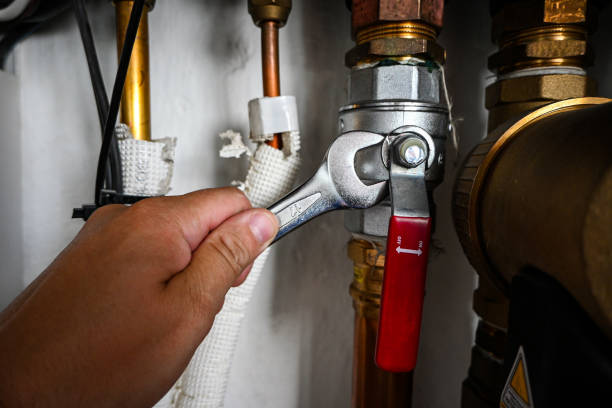 Best Toilet Repair Services  in Rector, AR
